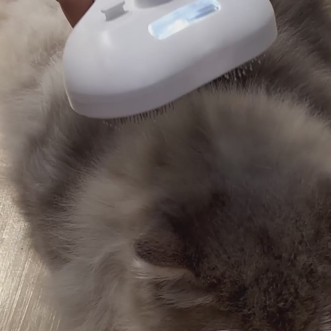 PurrMist Grooming Brush in action